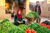 ببینید| غذای روستایی در افغانستان؛ پخت خوراک بامیه توسط زوج مسن افغان