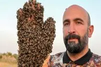 (تصاویر) «مرد زنبوری» در یک‌ قدمی ثبت رکورد گینس