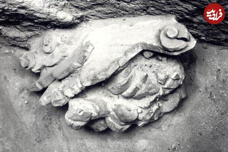 (تصاویر) چهار «اسباب‌بازی» با قدمت باورنکردنی که باستان‌شناسان کشف کردند