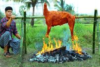 ببینید| غذای روستایی در هند؛ کباب یک بز کامل روی آتش در جنگل