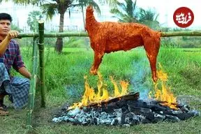 ببینید| غذای روستایی در هند؛ کباب یک بز کامل روی آتش در جنگل