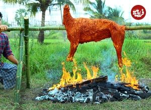 ببینید| غذای روستایی در هند؛ کباب یک بز کامل روی آتش در جنگل