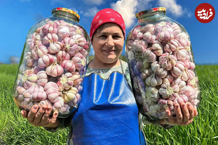 (ویدئو) فرآیند تهیه ترشی سیر و کباب با گوشت گاو به روش زوج آذربایجانی