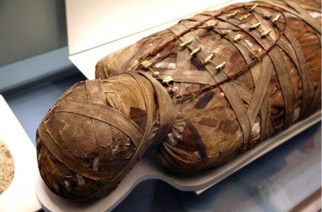 کشف دو مومیایی باستانی مصر در فاضلاب