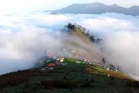 عکس؛ کشف جاده غیرمجاز ۸ کیلومتری در جنگل‌های گیلان