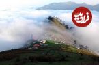 عکس؛ کشف جاده غیرمجاز ۸ کیلومتری در جنگل‌های گیلان