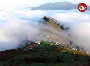 عکس؛ کشف جاده غیرمجاز ۸ کیلومتری در جنگل‌های گیلان