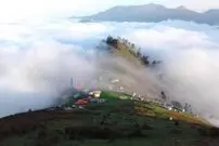 عکس؛ کشف جاده غیرمجاز ۸ کیلومتری در جنگل‌های گیلان