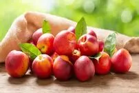 این میوه برای درمان یبوست و تقویت کبد معجزه می‌کند