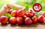این میوه برای درمان یبوست و تقویت کبد معجزه می‌کند