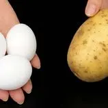 ببینید| طرز تهیه یک غذای ساده با قارچ، سیب زمینی و تخم مرغ