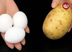 ببینید| طرز تهیه یک غذای ساده با قارچ، سیب زمینی و تخم مرغ