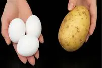 ببینید| طرز تهیه یک غذای ساده با قارچ، سیب زمینی و تخم مرغ