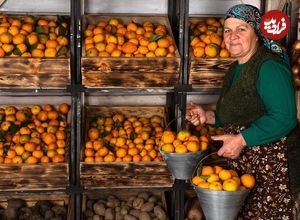ببینید| غذای روستایی در آذربایجان؛ پخت کیک و شیرینی با نارنگی 