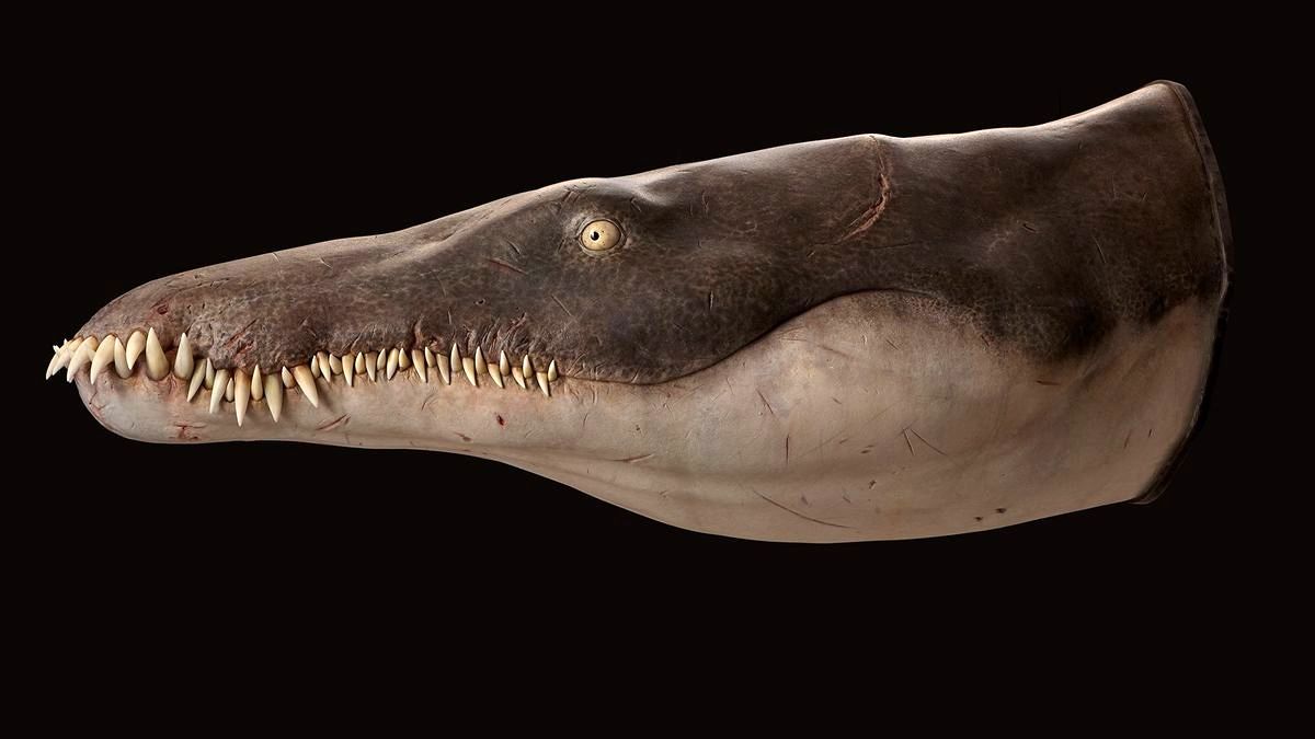 این «قاتل دریایی» به مدت 80 میلیون سال بر دریاها حکومت می‌کرد