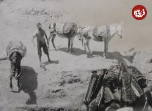 عکس| سفر زمان؛ مردان ایرانی در کنار رودخانه در حال شستن قالی؛ 118 سال قبل
