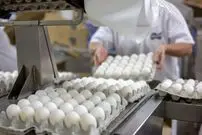 قیمت جدید تخم‌مرغ در بازار اعلام شد