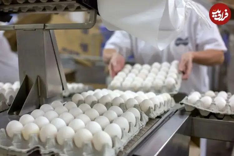 قیمت جدید تخم‌مرغ در بازار اعلام شد