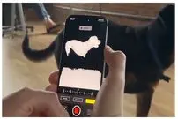  حرکت بی نظیر اپل برای کمک به حیوانات معلول!