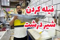 (ویدئو) نکات مهم فیله کردن ماهی شیر جنوب که شما را به مرحله استادی می رساند