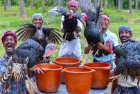 ببینید؛ غذای روستایی در هند؛ پخت سوپ سنتی با 5 بوقلمون در طبیعت روستا