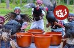 ببینید؛ غذای روستایی در هند؛ پخت سوپ سنتی با 5 بوقلمون در طبیعت روستا