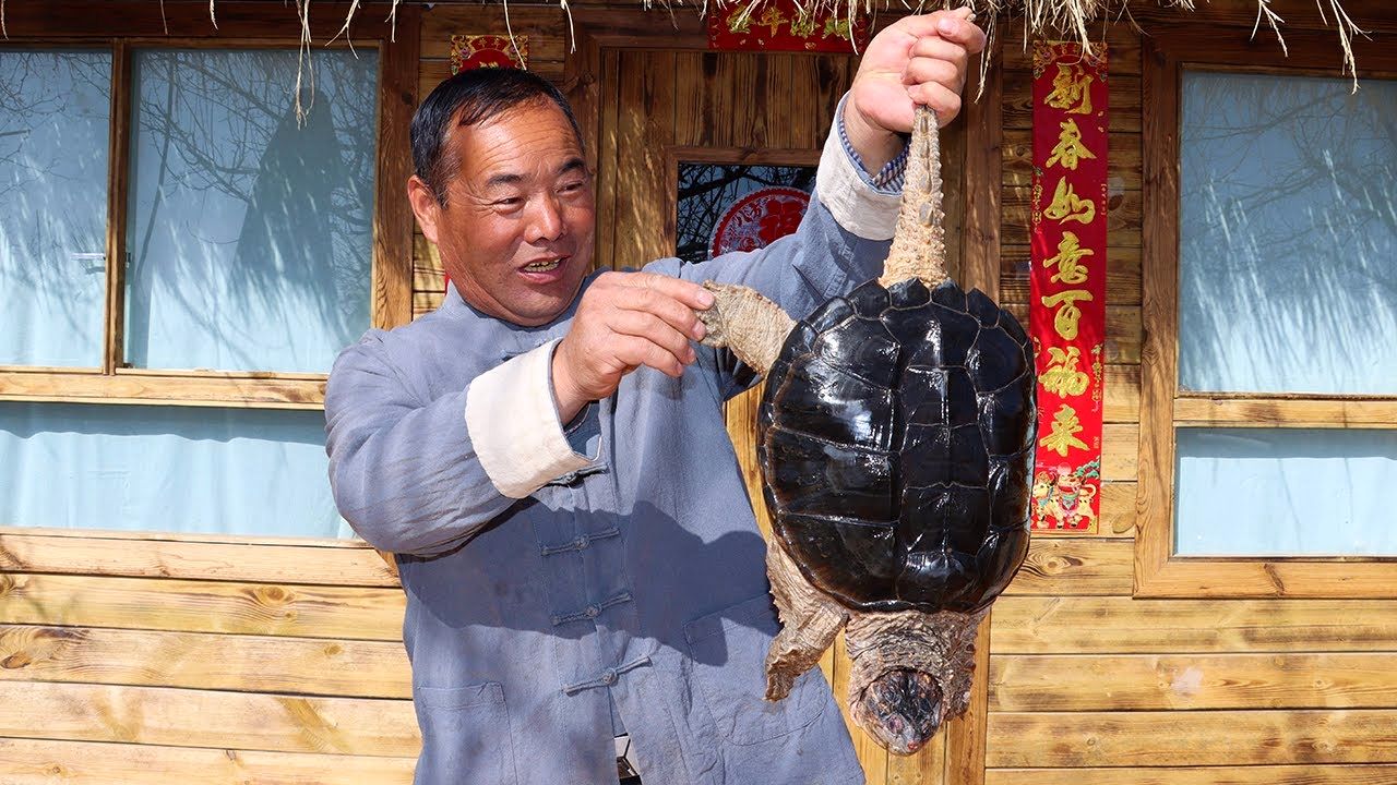 (ویدئو) پخت آبگوشت لاک پشت به سبک و سیاق آشپز روستایی چینی