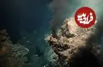 حیات روی زمین شاید دو بار شکل گرفته باشد