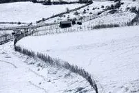 تصاویر| زیبایی چشم‌نواز از سوادکوهِ برفی