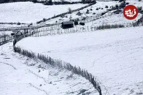تصاویر| زیبایی چشم‌نواز از سوادکوهِ برفی
