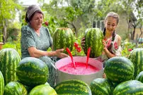 (ویدئو) تهیه کنسرو و مربای هندوانه برای زمستان به سبک مادر بزرگ آذربایجانی 