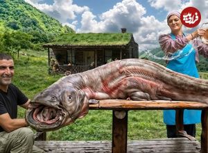 ببینید| غذای روستایی در آذربایجان؛ کباب گربه ماهی غول پیکر در روستایی کوهستانی