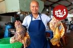 ببینید؛ غذای خیابانی در ویتنام؛ تهیه ساشیمی و غذاهای مختلف با صدف حلزونی بزرگ در هانوی