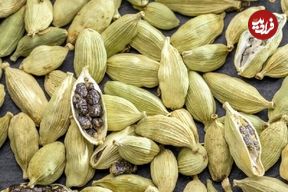 «هل» می‌تواند یک ضدویروس قوی باشد