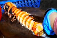 ببینید؛ غذای خیابانی در ویتنام؛ پخت غذاهای سنتی با میگو در هانوی