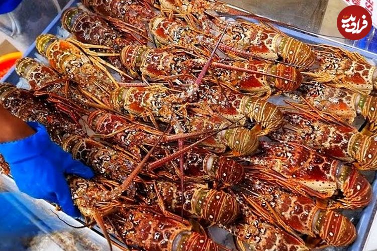 ببینید؛ غذای خیابانی در آمریکا؛ پخت غذاهای مختلف با لابستر و خرچنگ در فلوریدا