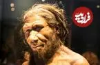 پژوهش جدید: آمیزش نئاندرتال‌ها با انسان مدرن بیشتر در یک جهت بوده است