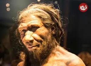 پژوهش جدید: آمیزش نئاندرتال‌ها با انسان مدرن بیشتر در یک جهت بوده است