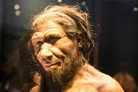 پژوهش جدید: آمیزش نئاندرتال‌ها با انسان مدرن بیشتر در یک جهت بوده است