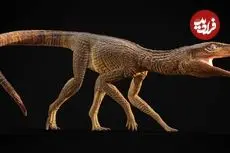 شناسایی تمساح ماقبل تاریخ که شبیه سگ شکاری بوده است