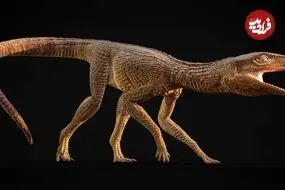 شناسایی تمساح ماقبل تاریخ که شبیه سگ شکاری بوده است