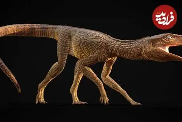 شناسایی تمساح ماقبل تاریخ که شبیه سگ شکاری بوده است