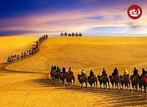 تصاویر؛ از جاده ابریشم تا هوش مصنوعی؛ یادداشت‌های یک سفر پژوهشی به چین