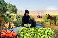 ببینید؛ غذای روستایی در ایران؛ برداشت بامیه از مزرعه و پخت خورشت با آن 