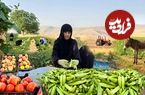 ببینید؛ غذای روستایی در ایران؛ برداشت بامیه از مزرعه و پخت خورشت با آن 