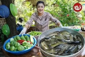 ببینید| غذای روستایی در کامبوج؛ پخت یک غذای سنتی با گربه ماهی