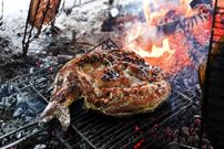 ببینید؛ غذای خیابانی در عراق؛ محبوب ترین کباب ماهی مسگوف در اربیل