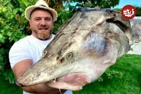 ببینید| غذای روستایی در آذربایجان؛ پخت سوپ سنتی با کله ماهی بلوگا