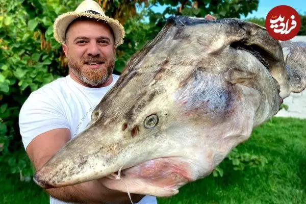 ببینید| غذای روستایی در آذربایجان؛ پخت سوپ سنتی با کله ماهی بلوگا