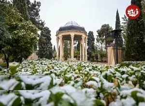 تصاویر| بارش برف بعد از ۱۲سال در این شهر زیبا